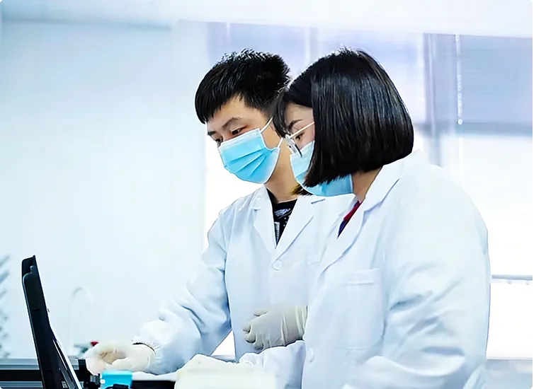 About Our Company